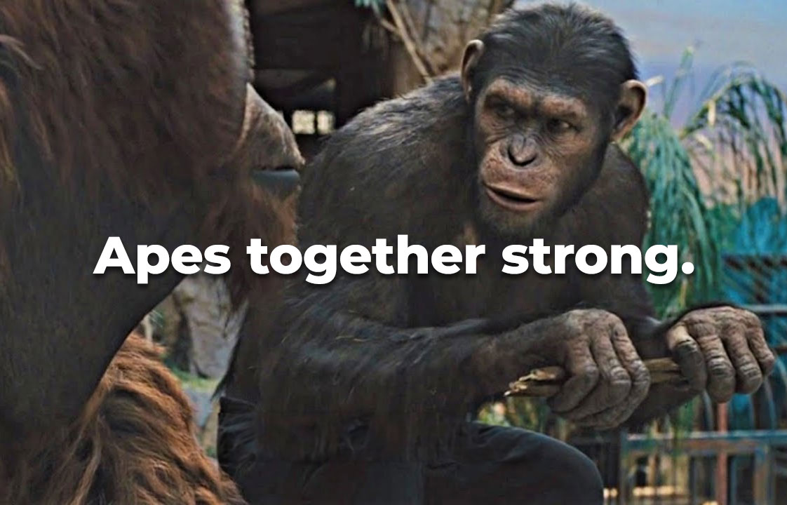 6 dicembre // Apes Together Strong // Aperitivo Sociale