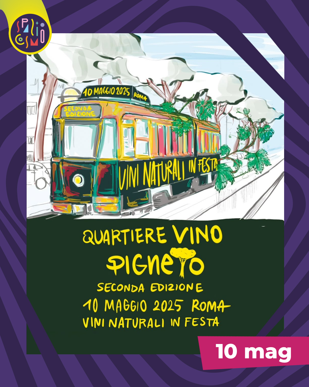 quartiere vino pigneto @spazio cosmo